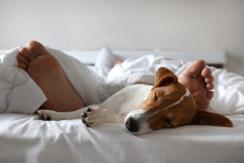 person with sleep apnea in Dunwoody sleeping with dog